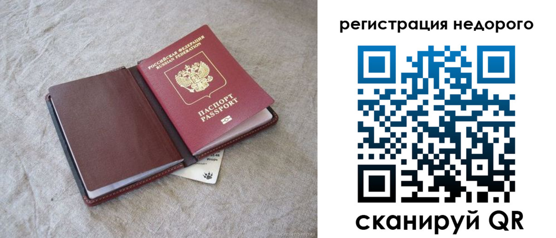 временная регистрация купить в Чкаловске